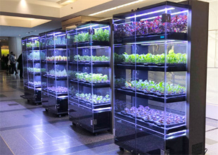 Is it time to cash-in on the indoor agriculture trend?