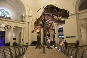 Field-Bistro-VIP-002-dinosaur-big