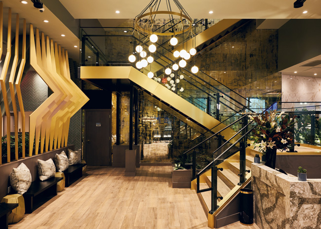 Moxies 1