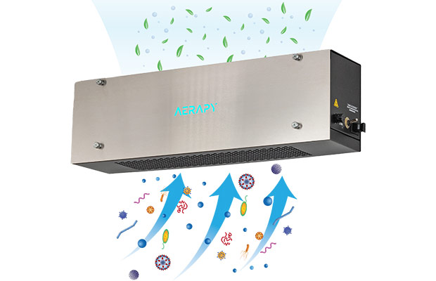 Technology Times Three from Everidge.