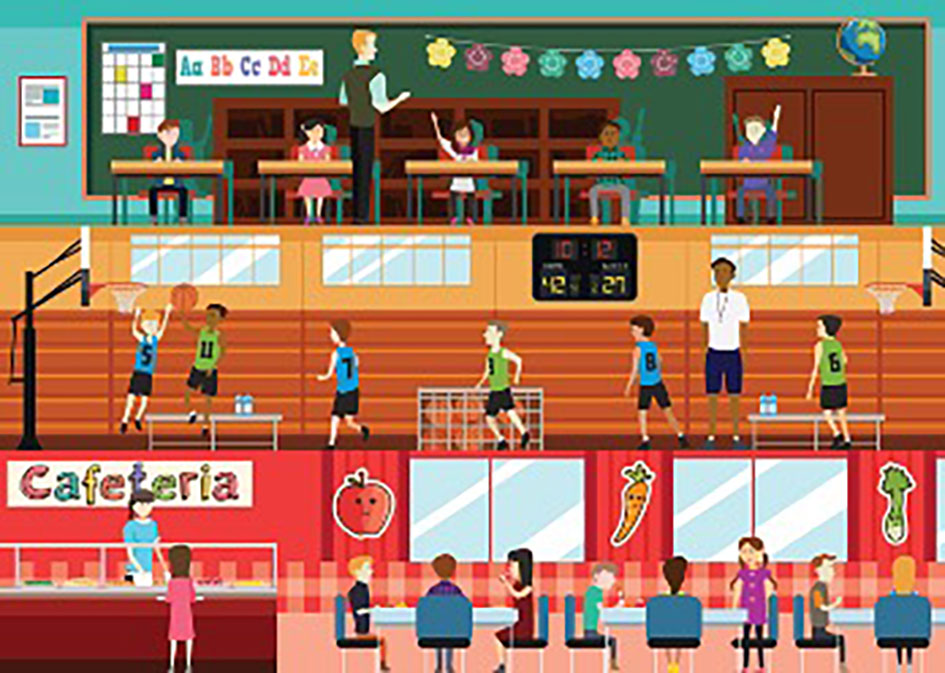 cutaway view of K-12 activities