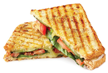 Commercial Panini Grill Buying Guide