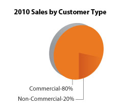 2010-Sales-Customer-Type