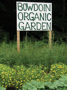 Organic-Garden-Bowdoin