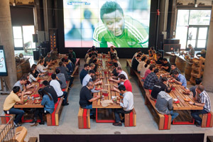 Zynga Picnic-Tables