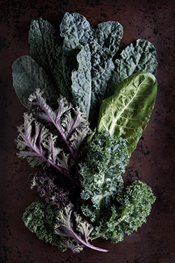 Kale-iStock 000022471567 Full