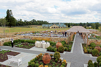 Culinary-Garden-Setup---overview