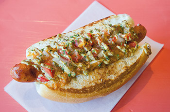 Dat-Dog Crawfish-Etouffee-Dog