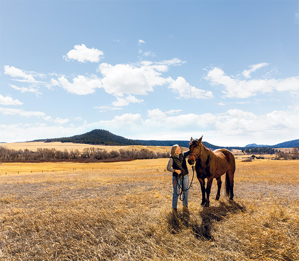 Kathleen Seelye Ranch